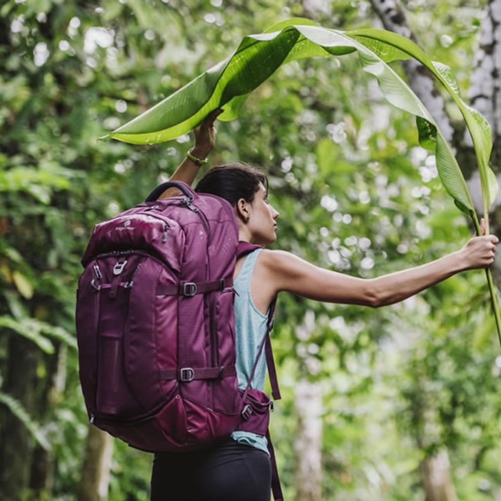 Eagle creek women’s global companion 65 L backpack